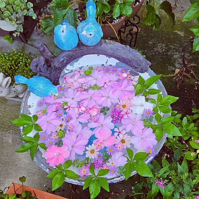 mocomocoさんの実例写真