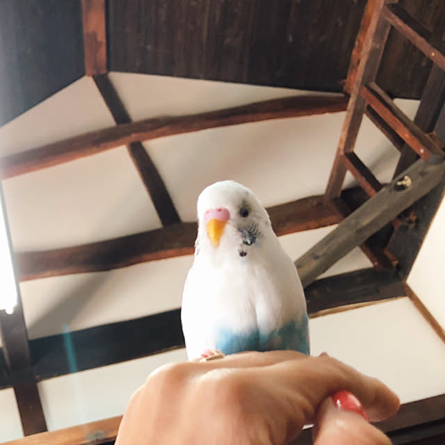 yuki.ni_tsuさんの実例写真