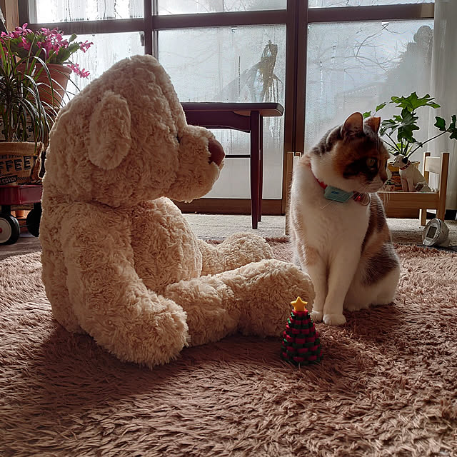fukuさんの実例写真