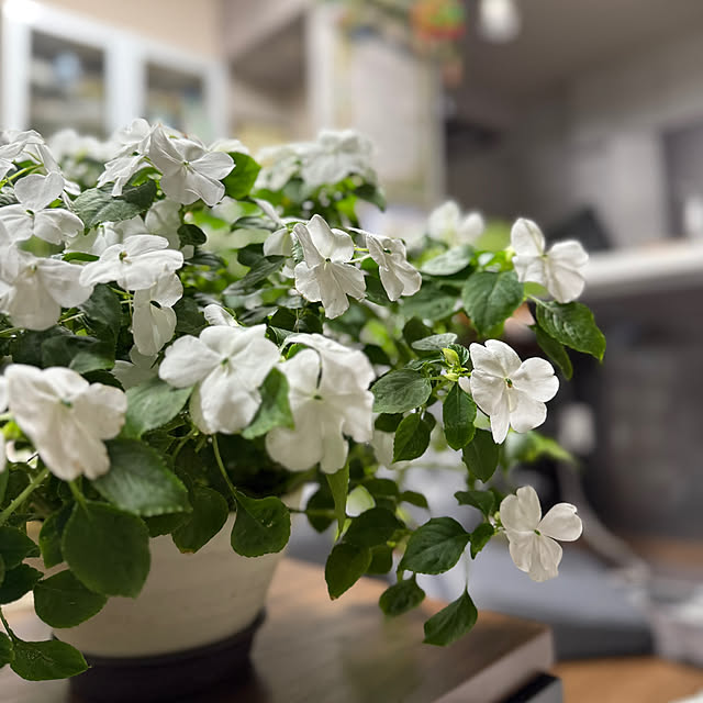 Aqettyさんの部屋