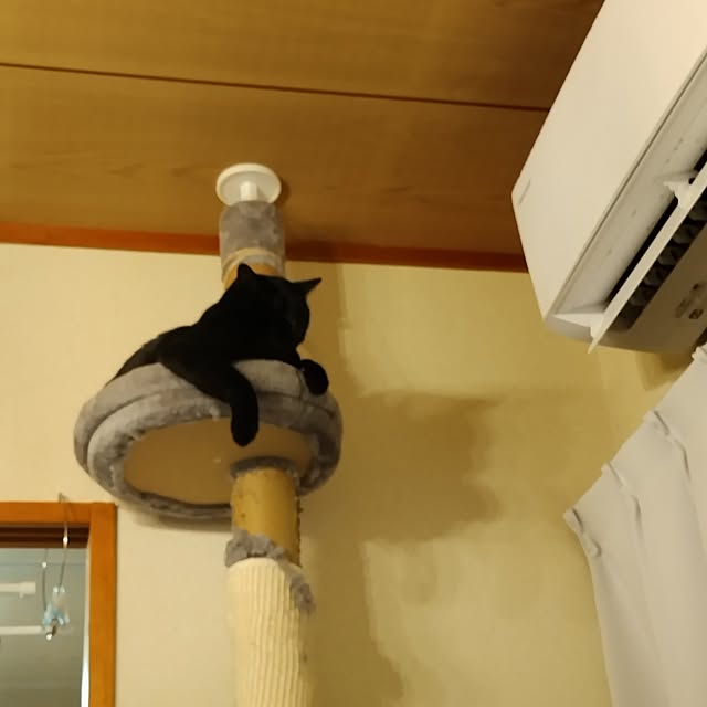 Tさんの実例写真