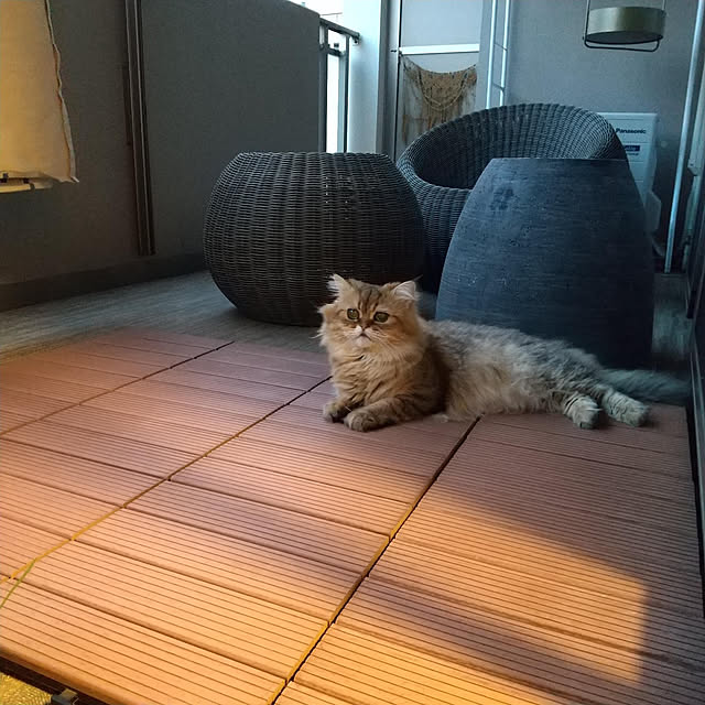 nobiさんの実例写真