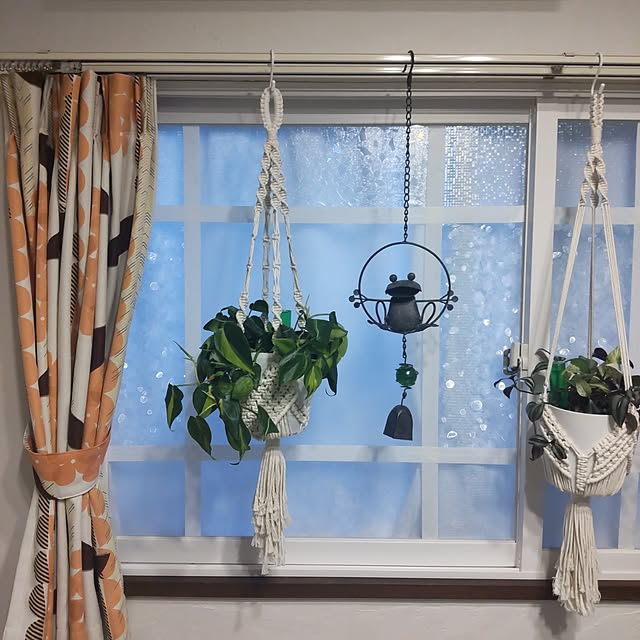 リビング/観葉植物/DIY/ダイソーのインテリア実例 - 2024-01-08 17:16:22