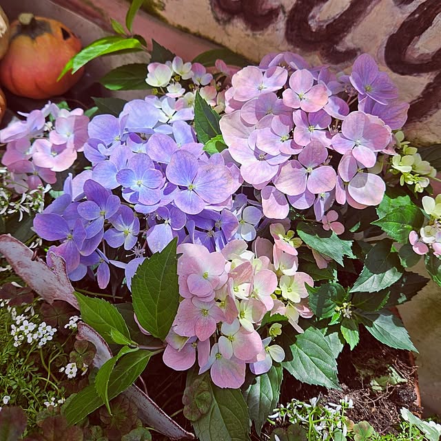 mocomocoさんの部屋