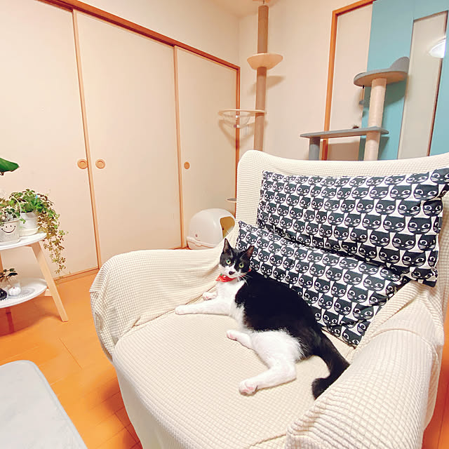 moolさんの実例写真
