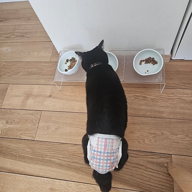 koyurizuさんの部屋