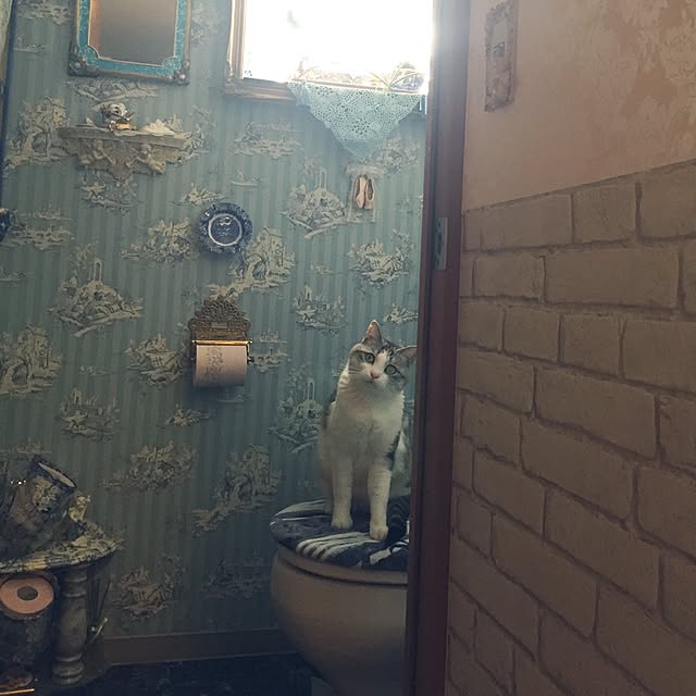 emmyyさんの実例写真