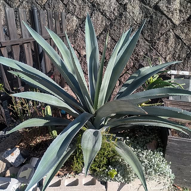 tototo..12.さんの実例写真