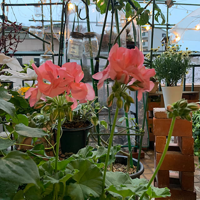 Aqettyさんの部屋