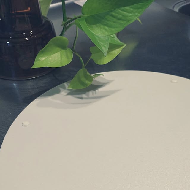 tan5さんの部屋
