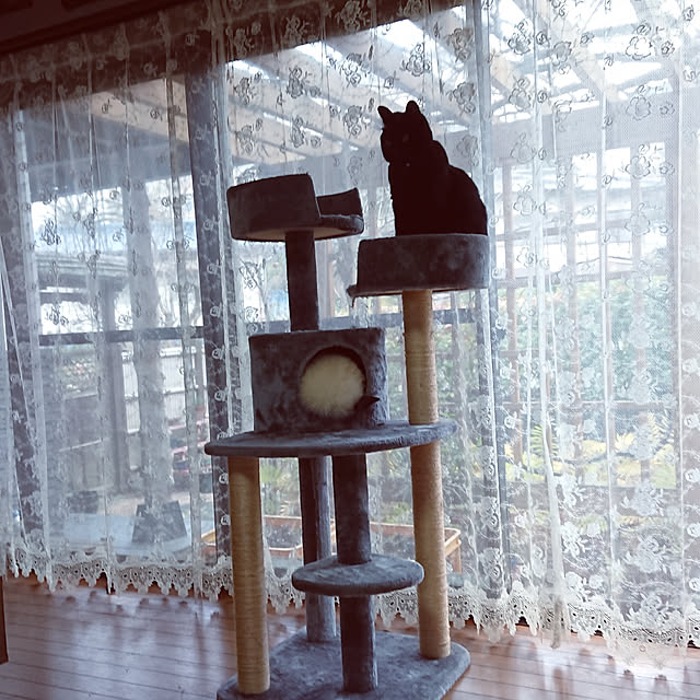 junkn6さんの実例写真