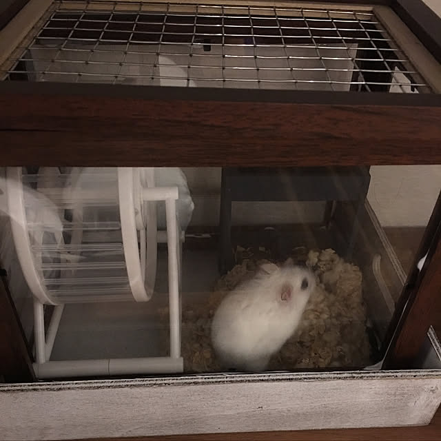mayuさんの実例写真