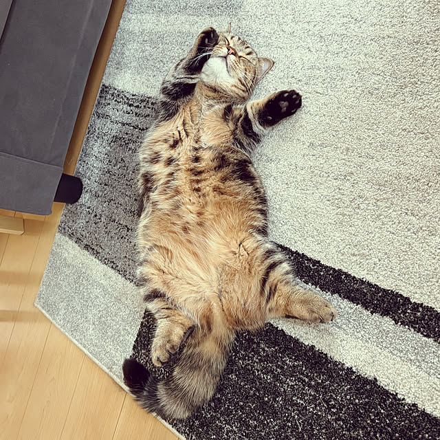 chiiさんの実例写真