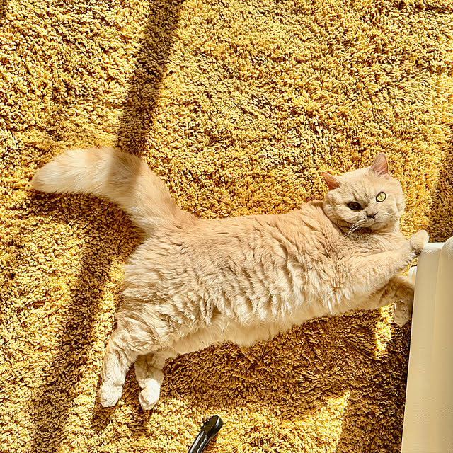 naokoさんの部屋