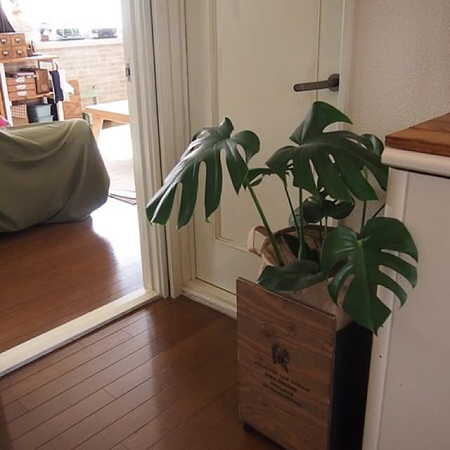 nicoさんの実例写真