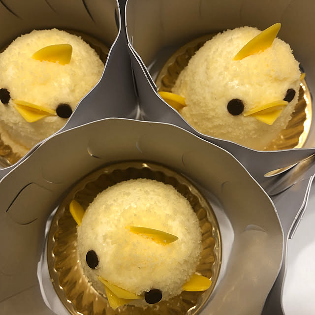 実例写真
