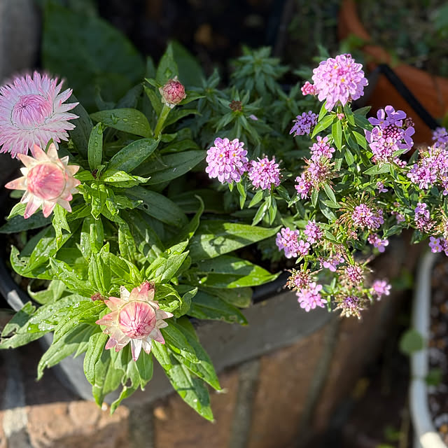 asako.10さんの部屋