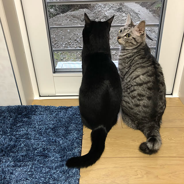 syrnuu946さんの実例写真