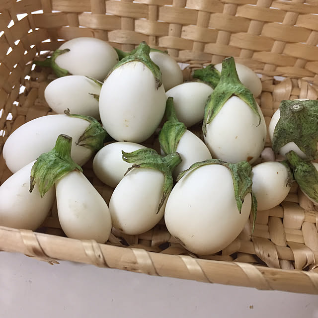 Naomiさんの実例写真