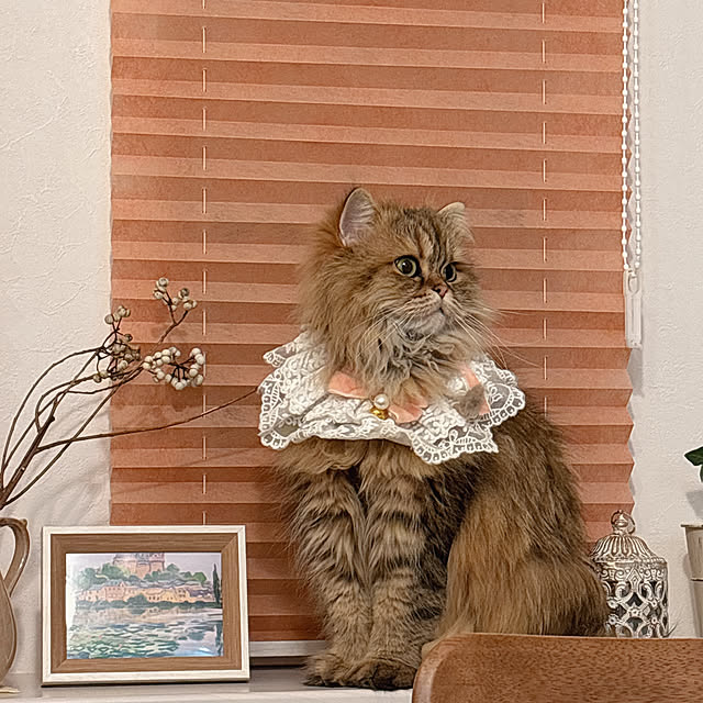 miyu39さんの部屋