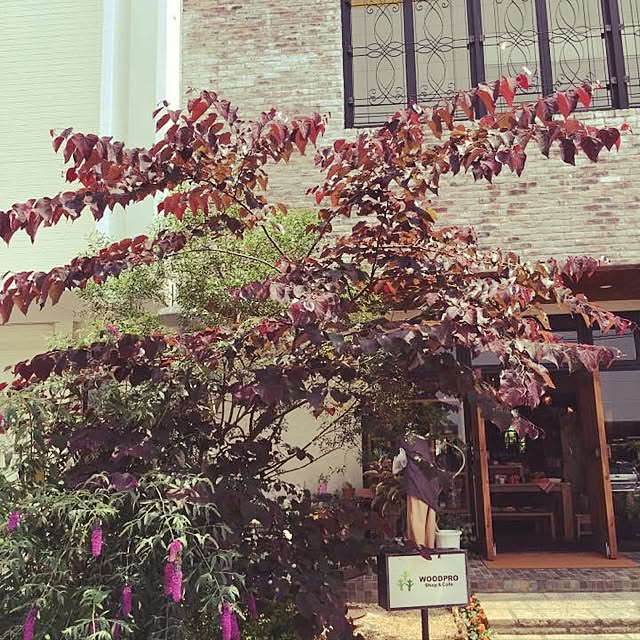 WOODPROさんの実例写真