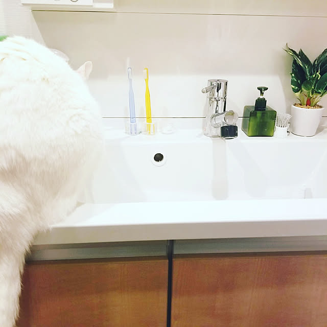 keikomokonさんの実例写真
