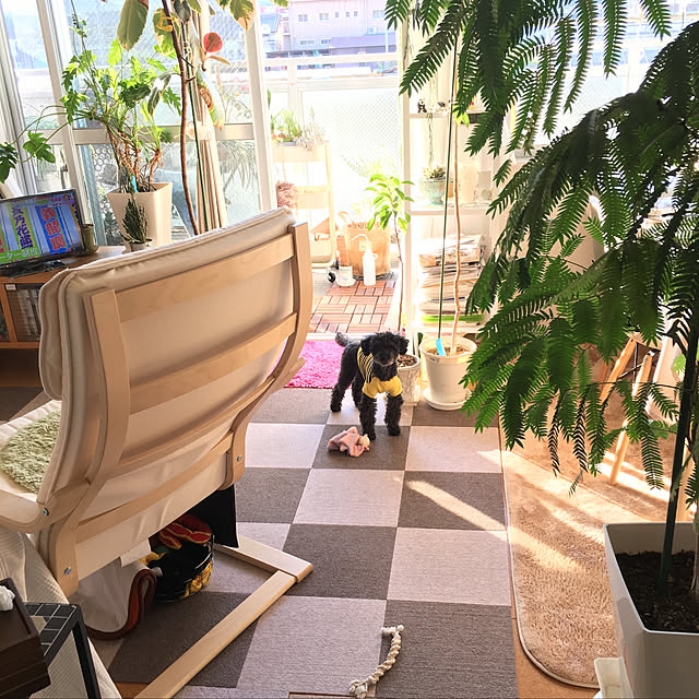 Reiさんの実例写真