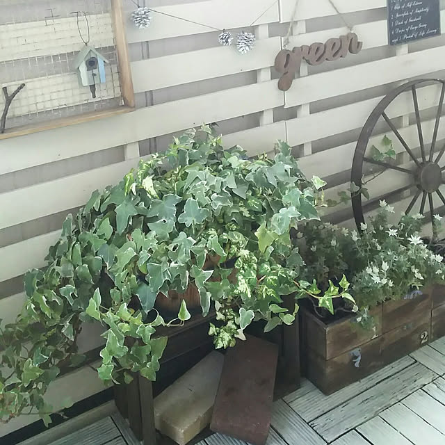 flannel.さんの実例写真