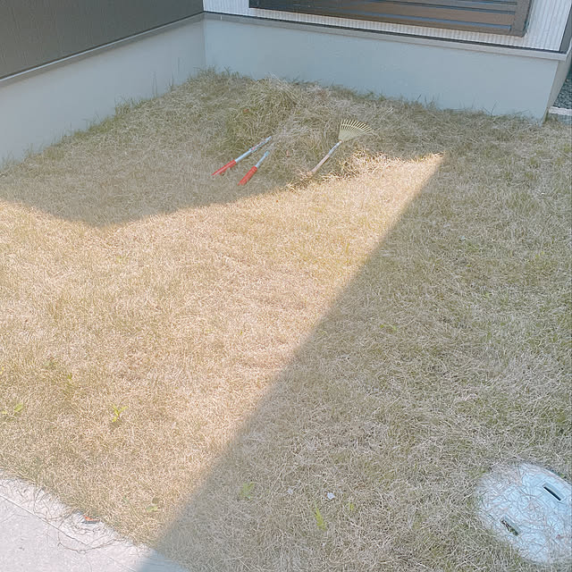 庭/玄関/入り口のインテリア実例 - 2021-04-30 11:50:51
