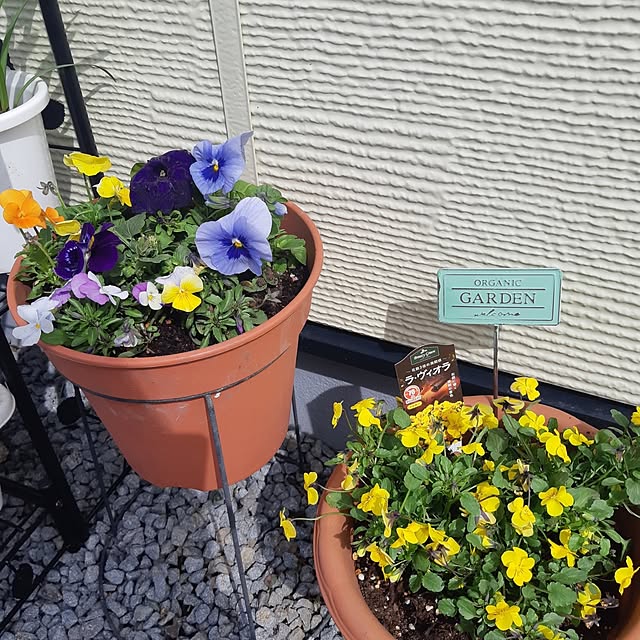 aki-h.1205さんの実例写真