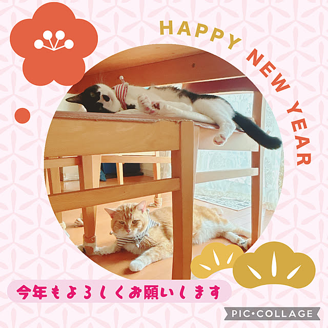 moolさんの実例写真