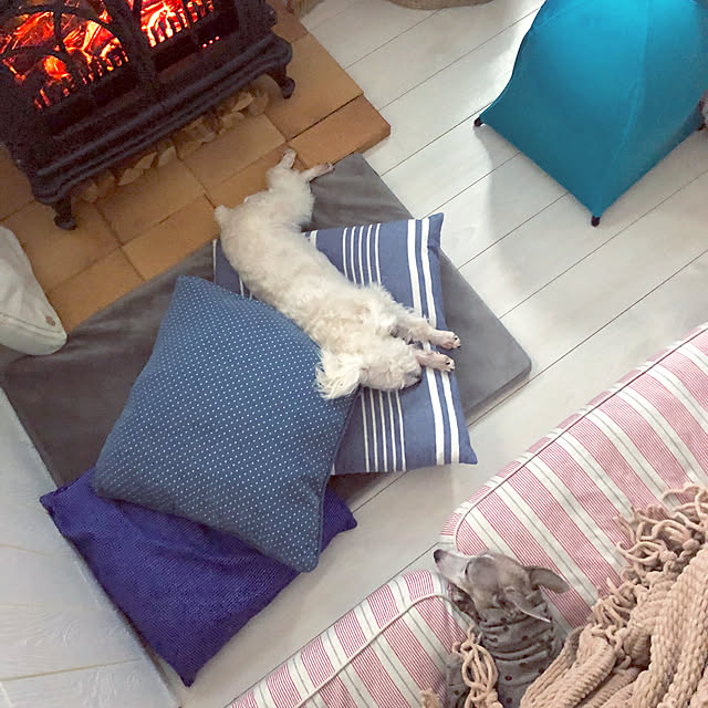 suzyさんの実例写真