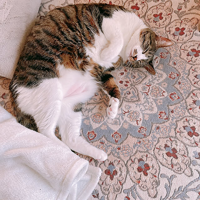 milkcocoaさんの部屋