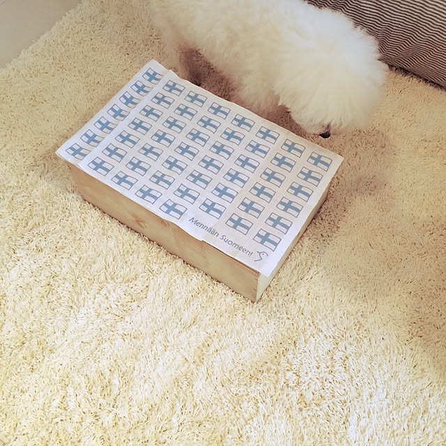shirokumaさんの実例写真