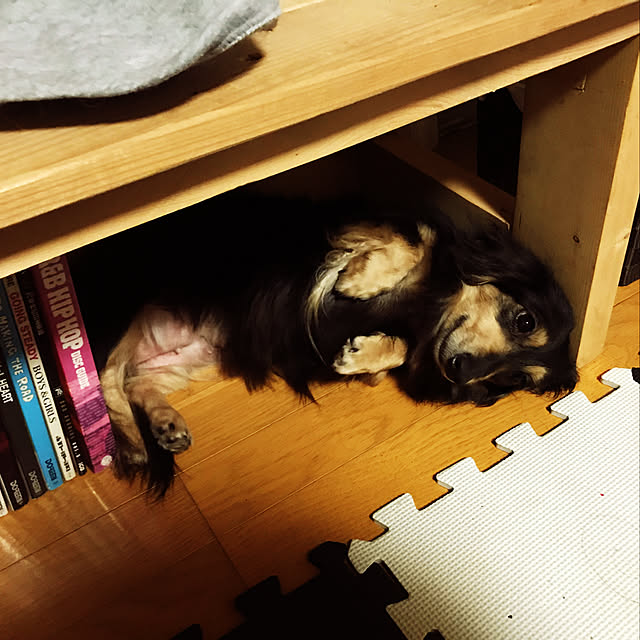jim0525さんの実例写真