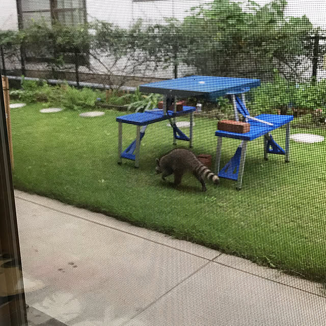 daikichiさんの実例写真