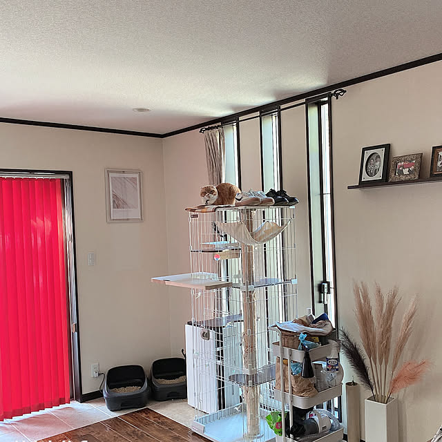 shizzzさんの部屋