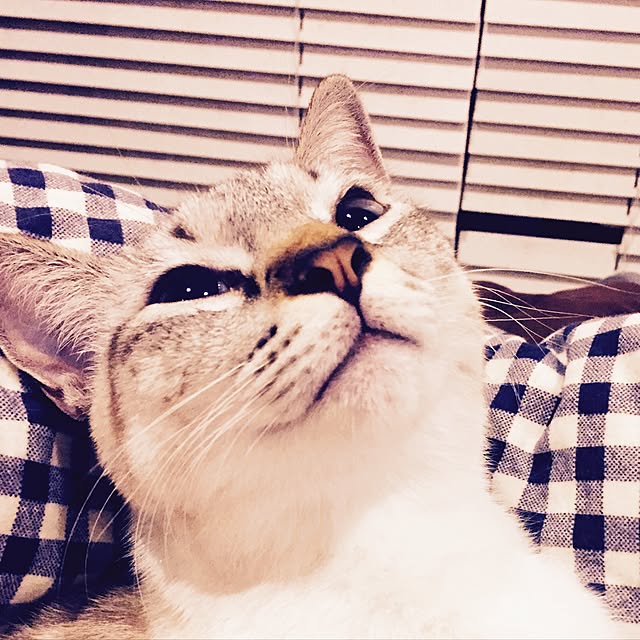 tsukiyuzuさんの実例写真