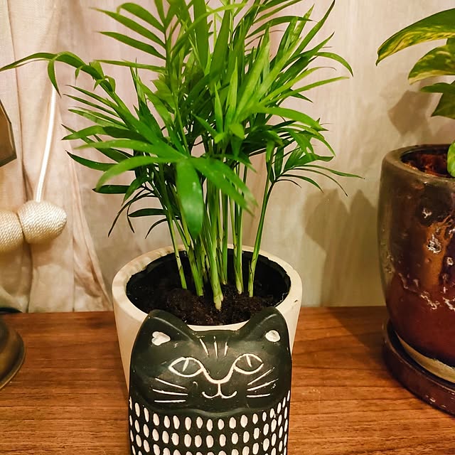 Yoko622さんの部屋