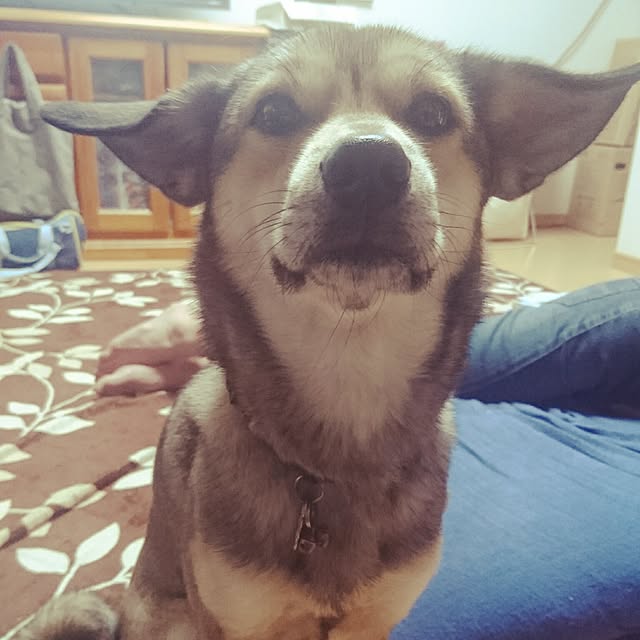 andさんの実例写真