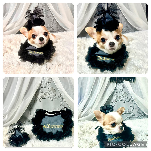 cocoさんの部屋