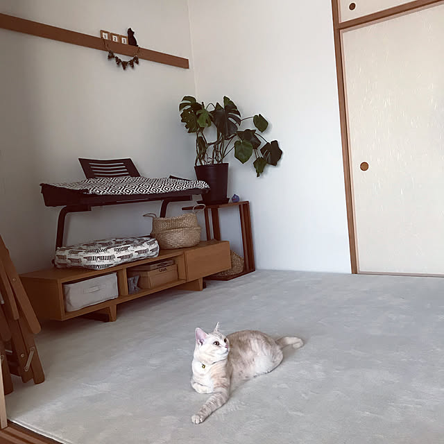 hiyupan88さんの実例写真