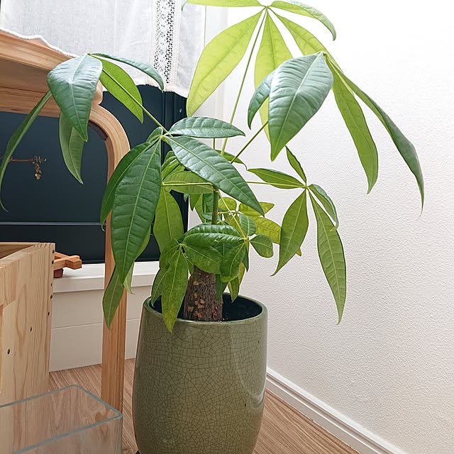 otokiさんの部屋