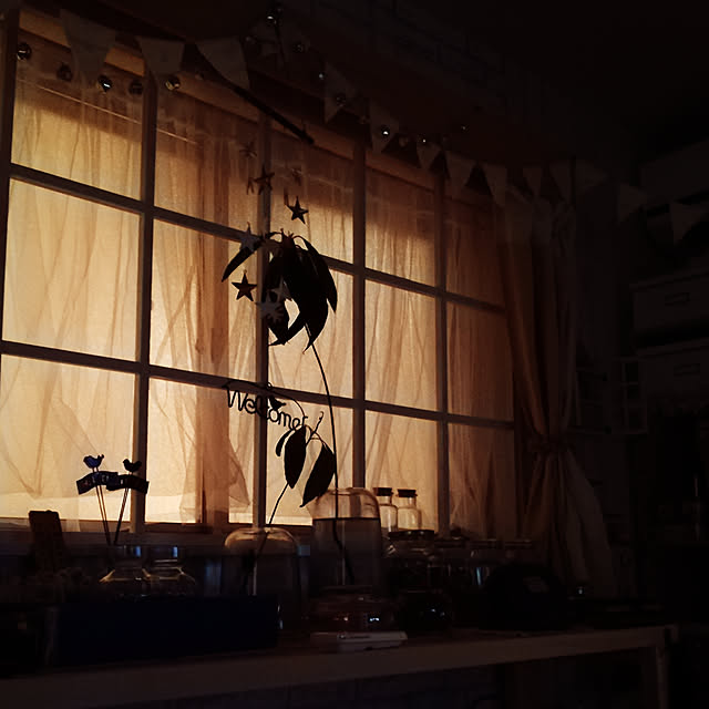 kazuさんの実例写真