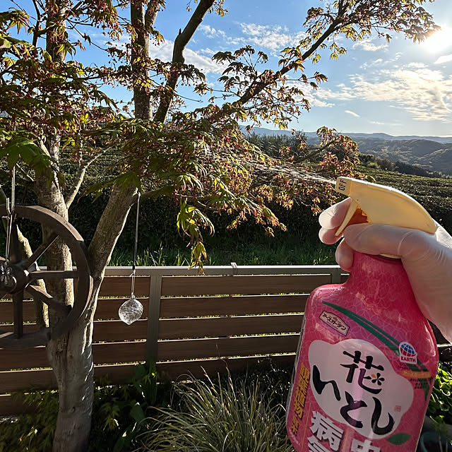 nana77さんの実例写真