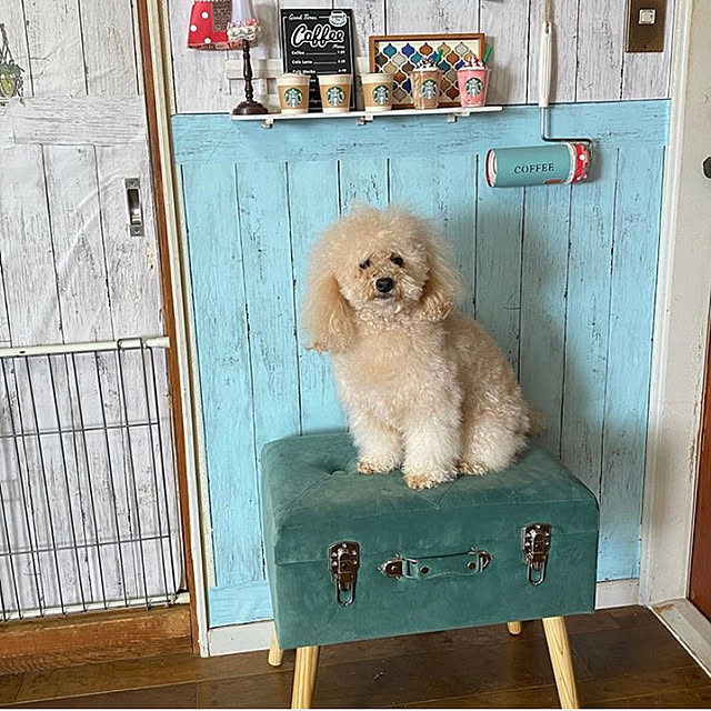 elmocoさんの実例写真