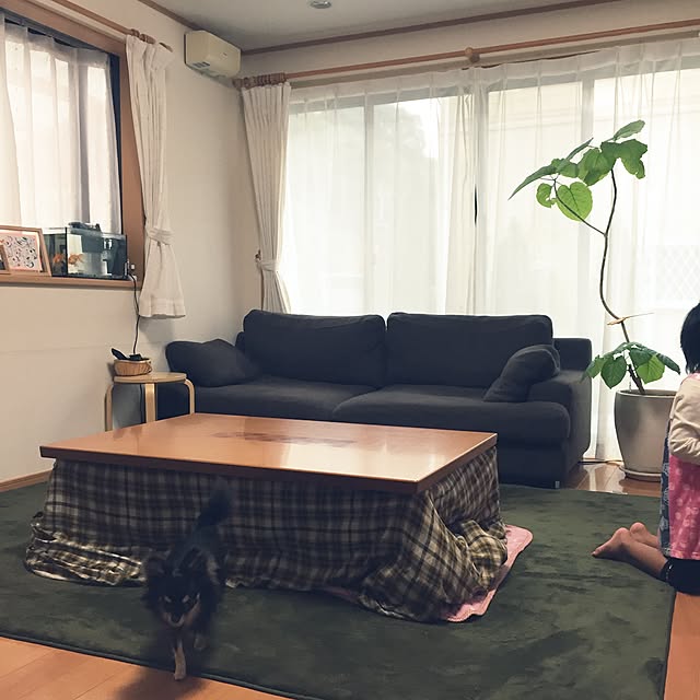 YukiYukiさんの実例写真