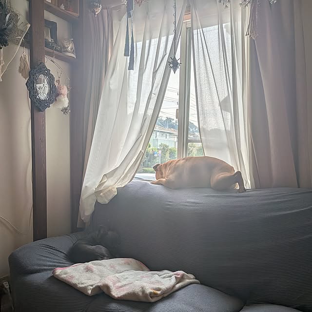 chi_gogaさんの実例写真
