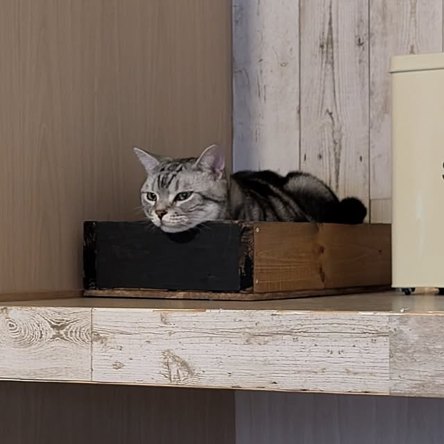lovepeaceさんの部屋