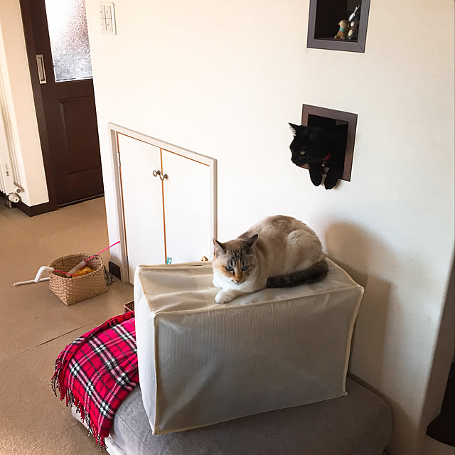 nanaさんの実例写真